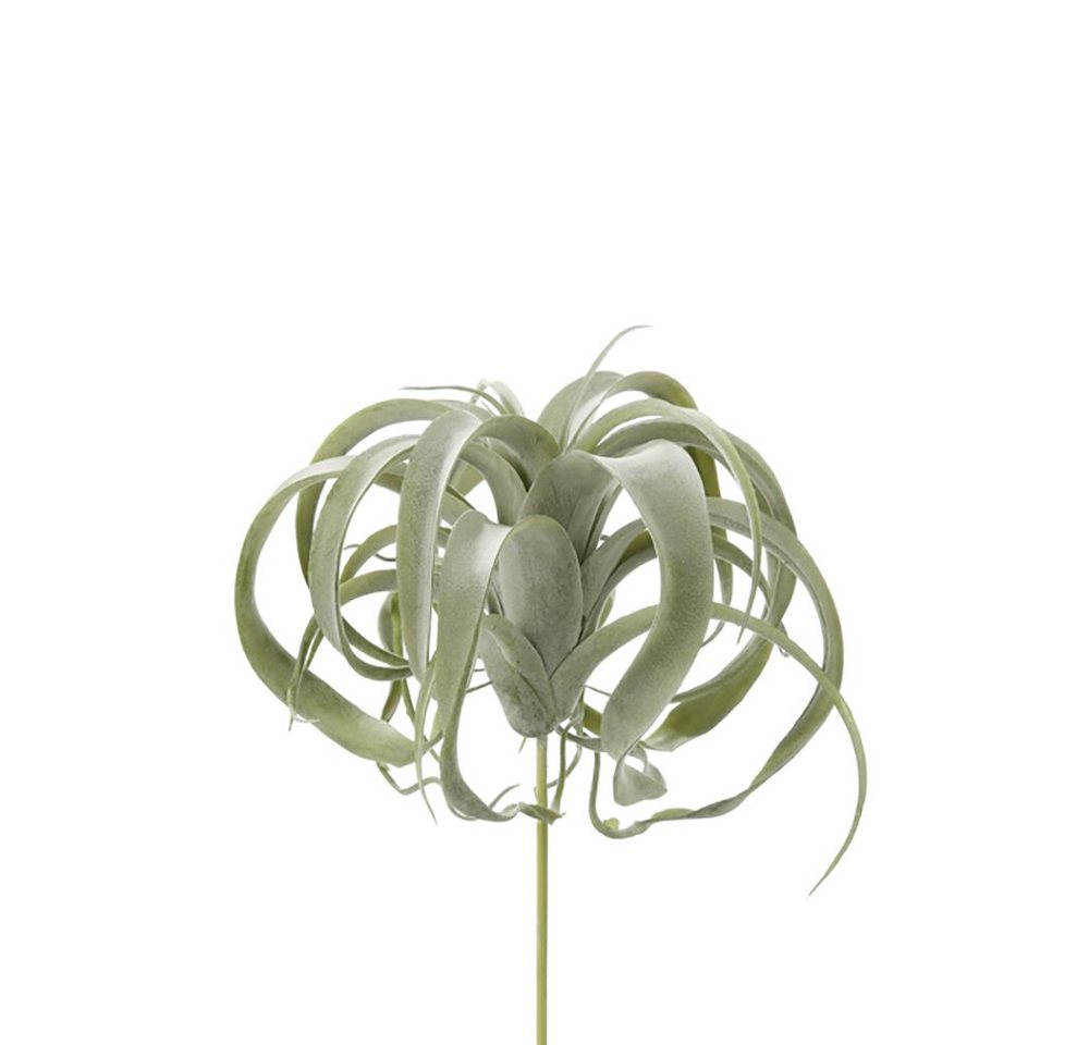 Kunstpflanze FINK Kunstblume Tillandsia - grün - T. 26cm, Fink von Fink