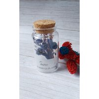 Liebevoll Gestaltetes Erinnerungs-Glas Mit Trockenblumen - Für Die Erinnerung An Deine Geliebte Fellnase Liebevoll Gestaltetes Erinnerungs-Glas Mit Trockenblumen - Für Die Erinnerung An Deine Geliebte Fellnase von FinlesDesign
