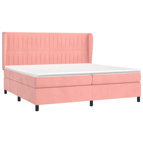 Finlon Boxspringbett mit samtgepolstertem Rahmen – Matratze – Luxuriöses 200 x 200 cm großes Bett für Komfort-Rosa(200 x 200 cm) von Finlon