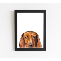 Vizsla Hund Kunstdruck, Ungarisch Aquarell Zeichnung Illustration, Hunde Liebhaber Geschenke, Wandkunst, Haustier Drucke, Wohndekor von FiolettaArts