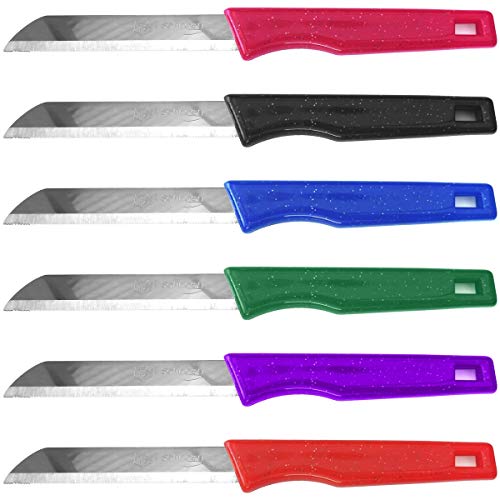 Solingen Messer Obstmesser Küchenmesser Gemüsemesser (24 er Set, Bunt) von Fiora