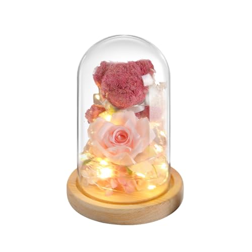 Fiorky Niedlicher Bär, ewige Rose im Glas, ewige, konservierte Blumen, Bärenrose, hübscher Teddybär im Glas mit LED-Licht for Valentinstag, Muttertag, Geburtstag (Rosa) von Fiorky