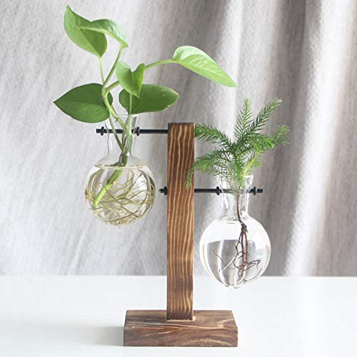Glas-Pflanzgefäß, Blumenzwiebel-Vase, Desktop Air Plant Terrarium Kit mit Retro Massivholz Ständer, Pflanze Anzuchtstationen Terrarium for Indoor Wasserpflanzen Home Garden Office Dekoration Zubehör von Fiorky