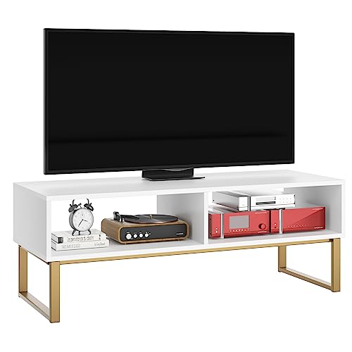 FirFurd Lowboard tv Schrank Fernsehtisch bis zu 47 Zolle tv Board mit 2 Fächern Fernseh-Schrank 40 x 108 x 40 cm weiß von FirFurd