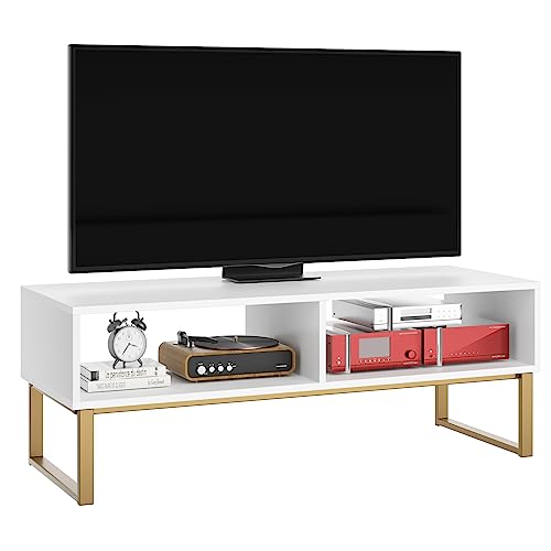 FirFurd Lowboard tv Schrank Fernsehtisch bis zu 47 Zolle tv Board mit 2 Fächern Fernseh-Schrank 40 x 108 x 40 cm weiß FirFurd Lowboard tv Schrank Fernsehtisch bis zu 47 Zolle tv Board mit 2 Fächern Fernseh-Schrank 40 x 108 x 40 cm weiß von FirFurd