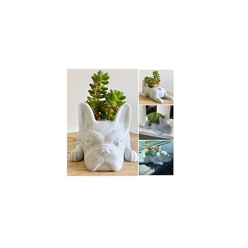 Firally Harz Hund Sukkulente Pflanzgefäße, Nette französische Bulldogss Form Bonsai Blumentöpfe Aufbewahrungsbehälter für Büro Desktop Home Decor Garten von Firally