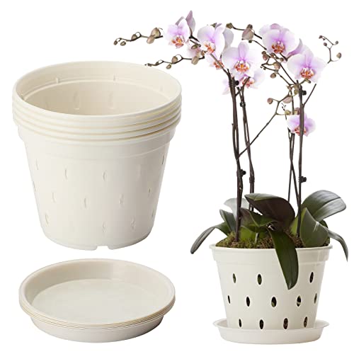 Firlar Orchideentöpfe mit Löchern und Untertassen, Pflanzgefäße für Pflanzen Im Innen- und Außenbereich, Transparente Orchideentöpfe Zum Umtopfen, Atmungsaktiver, Geschlitzter(#1) von Firlar