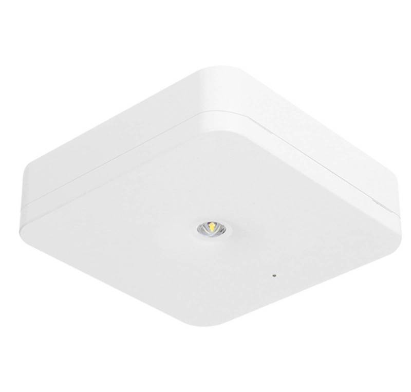 Fischer Akku LED-Notleuchte SLM-D31USC Rettungswege Fischer Akku LED-Notleuchte SLM-D31USC Rettungswege von Fischer Akku