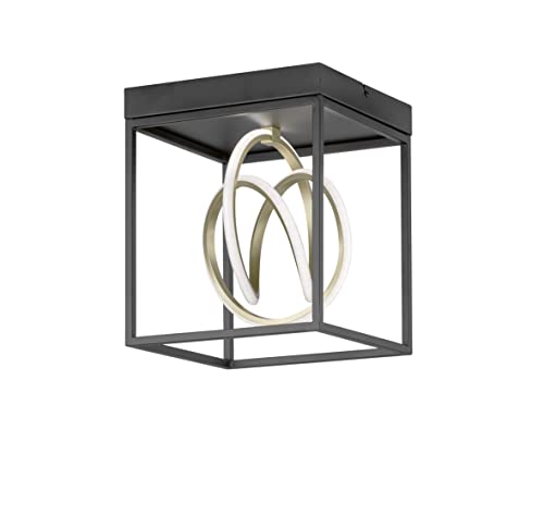 Fischer & Honsel|Deckenleuchte, Gisi|schwarz matt|goldfarben|L: 25,00 cm, B: 25,00 cm|Ausl. Decke: 29,00 cm|Fernbedienung|CCT, dimmbar Stufenlos|1x LED 15,0 Watt 2700/6500|1900 lm|EEG:F|21326 Fischer & Honsel|Deckenleuchte, Gisi|schwarz matt|goldfarben|L: 25,00 cm, B: 25,00 cm|Ausl. Decke: 29,00 cm|Fernbedienung|CCT, dimmbar Stufenlos|1x LED 15,0 Watt 2700/6500|1900 lm|EEG:F|21326 von Fischer & Honsel