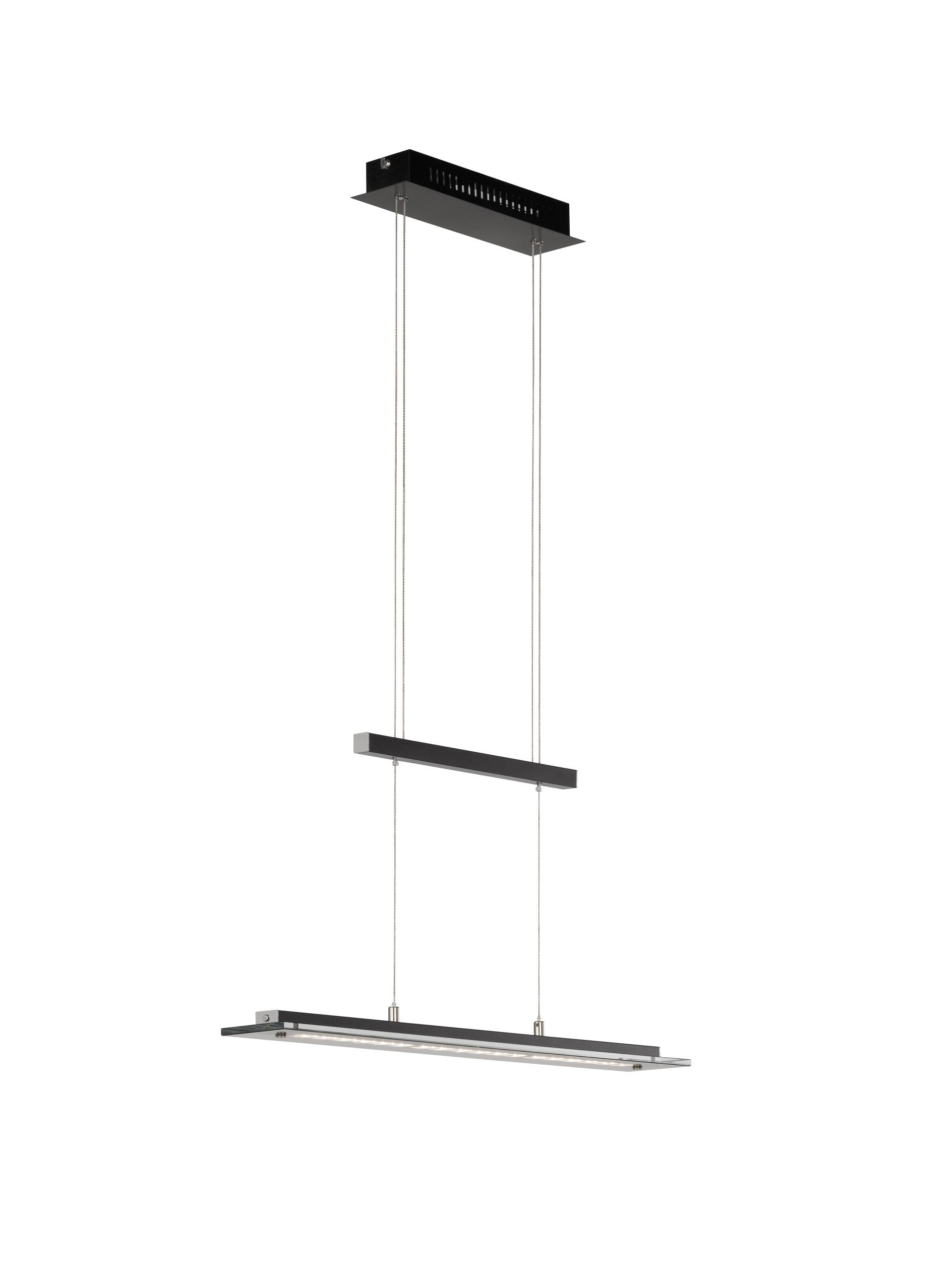 Fischer & Honsel LED-Pendelleuchte TENSO TW 1-flammig in Farbe Metall sandschwarz/Glas rauchfarbig teilsatiniert Fischer & Honsel LED-Pendelleuchte TENSO TW 1-flammig in Farbe Metall sandschwarz/Glas rauchfarbig teilsatiniert von Fischer & Honsel