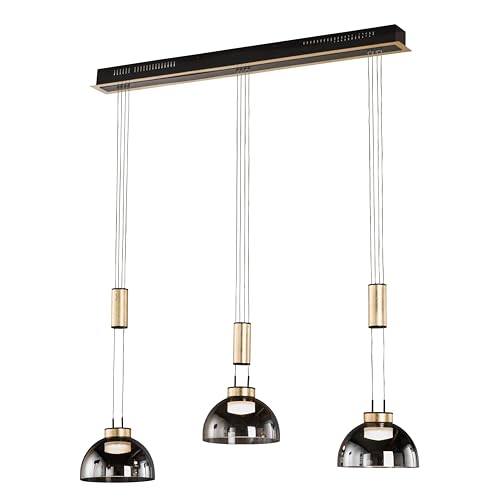 Fischer & Honsel Pendelleuchte, Avignon | sandschwarz/blattgoldfarben/rauchfarben| L: 98 cm, B: 20 cm | Höhenverstellbar 103-170 cm| über Wanddimmer stufenlos dimmbar | 61014 | EEG: F von Fischer & Honsel