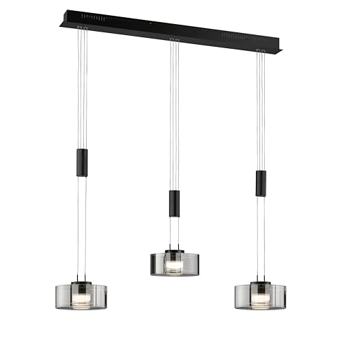 Fischer & Honsel Pendelleuchte, Lavin | sandschwarz/rauchfarben | L: 100 cm, B: 20 cm | Höhenverstellbar 100-160 cm | über Wanddimmer stufenlos dimmbar | 61096 | EEG: F Fischer & Honsel Pendelleuchte, Lavin | sandschwarz/rauchfarben | L: 100 cm, B: 20 cm | Höhenverstellbar 100-160 cm | über Wanddimmer stufenlos dimmbar | 61096 | EEG: F von Fischer & Honsel