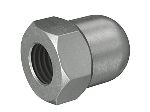 Fischer 543980 Hutmutter FAZ II M12 nicht rostender Stahl R rostfrei (A4) VPE 1 Stück von Fischerwerke