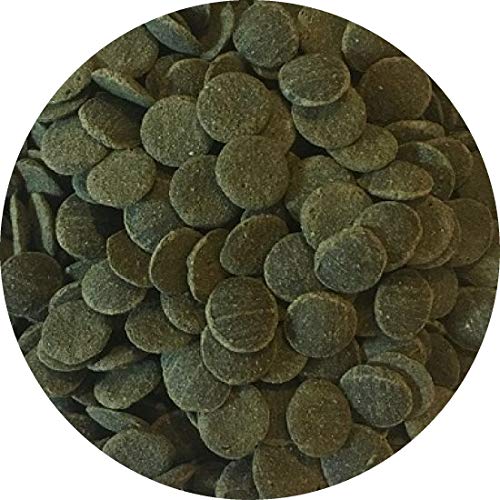 Fischfutter Futtertabletten Wafer MINI Spirulina-Algen Wafers Welstabletten Ø1cm (1 l) von Fischfuttertreff