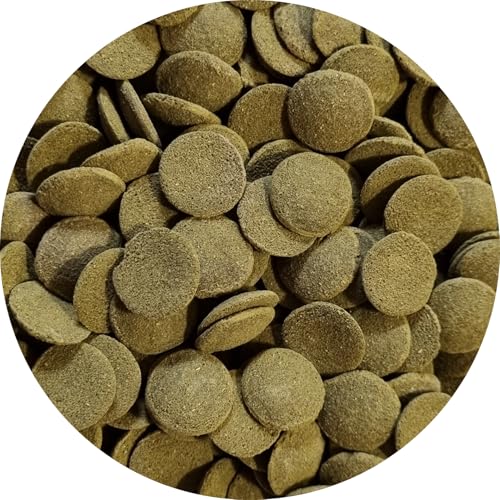 Futtertabletten Wels Chips GROß- Welse Fischfutter Welstabletten Spirulina 250ml von Fischfuttertreff