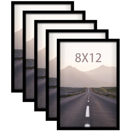 Fisnish Bilderrahmen, 20,3 x 30,5 cm, Schwarz, Posterrahmen für horizontale oder vertikale Wandmontage, 5 Stück Fisnish Bilderrahmen, 20,3 x 30,5 cm, Schwarz, Posterrahmen für horizontale oder vertikale Wandmontage, 5 Stück von Fisnish