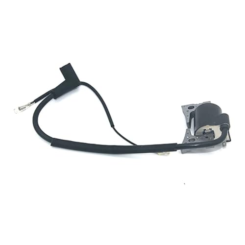 1 stück Zündspule for Wisconsin for Robin for Subaru for Motor EH12 EH122 EH17 EH172 for Müll for Pumpe EW210TR 269 79430-01 269 79430-31 269-79 von Fitaulip