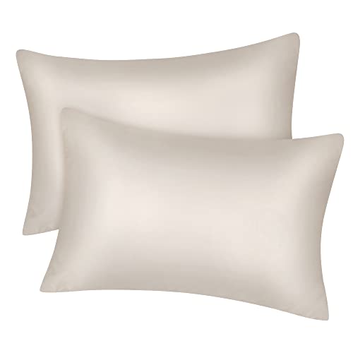 Fittia 2er-Set Lyocell Bambus Kissenbezug Bambusfaser Kopfkissenbezug Kissenhülle Seidig weichkühlend atmungsaktiv mit verdecktem Reißverschluss, Beige, 40x60cm von Fittia