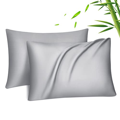 Fittia 2er-Set Lyocell Bambus Kissenbezug Bambusfaser Kopfkissenbezug Kissenhülle Seidig weichkühlend atmungsaktiv mit verdecktem Reißverschluss, Silbergrau, 40x80cm Fittia 2er-Set Lyocell Bambus Kissenbezug Bambusfaser Kopfkissenbezug Kissenhülle Seidig weichkühlend atmungsaktiv mit verdecktem Reißverschluss, Silbergrau, 40x80cm von Fittia