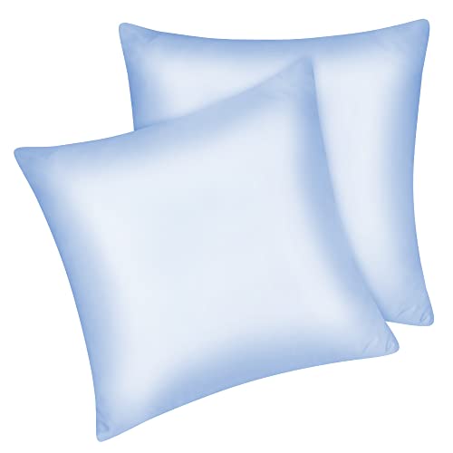 Fittia 2er-Set Satin Kissenbezug Premium Kopfkissenbezug Kissenhülle Haar- und Hautpflege Seidig mit Reißverschluss, Hellblau, 80x80cm von Fittia