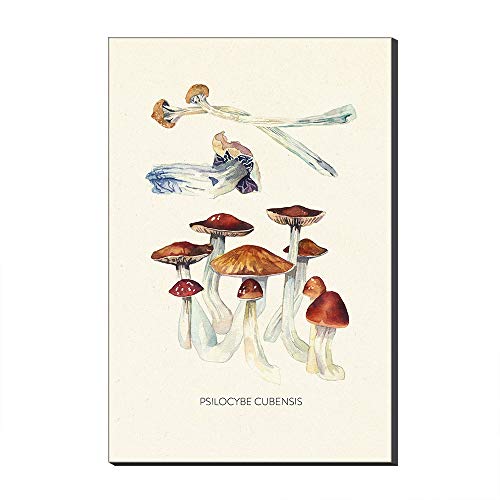 Five-Seller Aquarell Psilocybe Cubensis Pilz Poster Und Drucke Wandkunst Leinwand Malerei Wandbilder Für Wohnzimmer Kinderzimmer Dekor (Kein Rahmen,30 x 50 cm) von Five-Seller