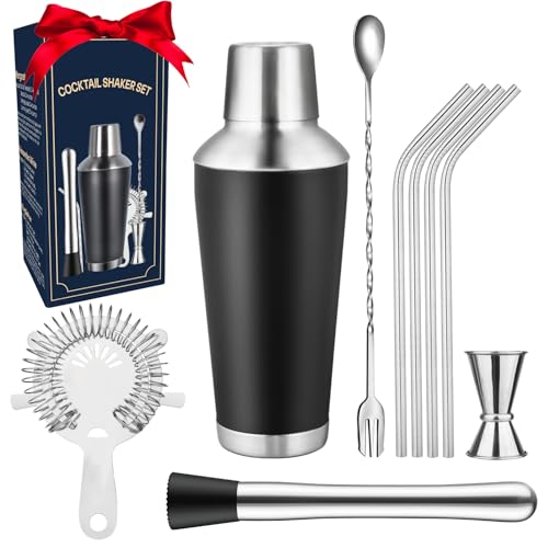 Premium Cocktail Shaker Set 9-teiliges, 740ML Edelstahl Martini Shaker, Elegantes Barkeeper Set mit Muddler, Sieb, Mixlöffel, Jigger & Strohhalm von FiveHome