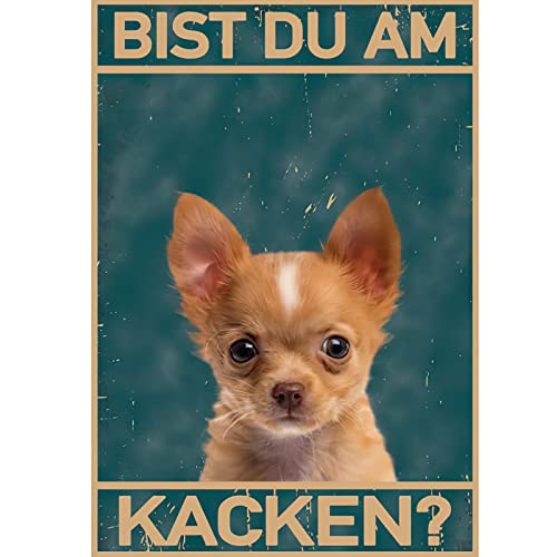 FiveMileBro Bist du am Katchen Katze Bild Poste, Lustiger Spruch poster Toilette Deko, Bathroom Toilet WC Decoration (Fuchs, 30cmx40cm) von FiveMileBro