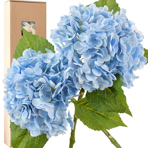 FiveSeasonStuff Hortensien aus Seide, fühlt sich echt an, 2 große künstliche Blumen mit langem Stiel für Blumenarrangements (Himmlisches Blau) von FiveSeasonStuff