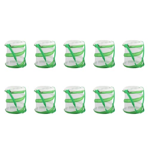 Fivetwofive 10X Kleine Gottesanbeterin Stick Insect Butterfly -Up Cage GehäUse GehäUse Fivetwofive 10X Kleine Gottesanbeterin Stick Insect Butterfly -Up Cage GehäUse GehäUse von Fivetwofive