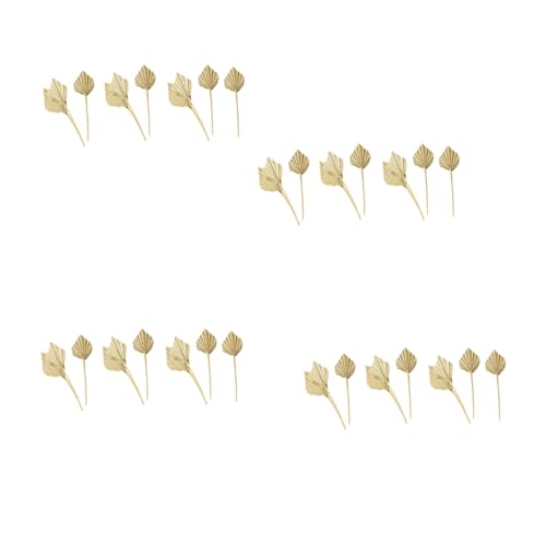 Fivetwofive 40 Stück Boho Getrocknete Palmspeere Natürliche Getrocknete Palm Fächer Getrocknete Palm Blätter Getrocknetes Palm Blatt Palm Fächer Blatt mit Stiel Fivetwofive 40 Stück Boho Getrocknete Palmspeere Natürliche Getrocknete Palm Fächer Getrocknete Palm Blätter Getrocknetes Palm Blatt Palm Fächer Blatt mit Stiel von Fivetwofive