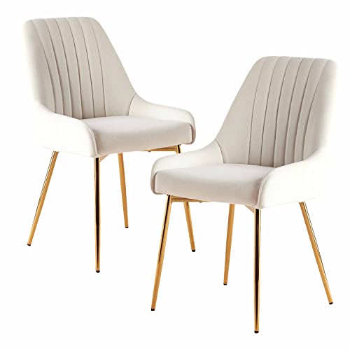 Fiximaster Esszimmerstühle 2er Set, Samt Polsterstühle mit Rückenlehne, Küchenstühle mit goldenen Beinen, Ergonomische Stühle für Esszimmer, Wohnzimmer und Schlafzimmer (Weiß) von Fiximaster