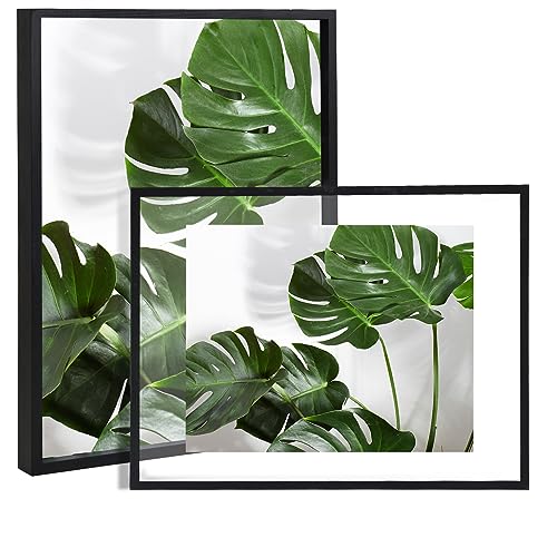 Fixwal 11x14 2er Set schwarz schwebender Rahmen, Doppelglas-Bilderrahmen für Fotos 11x14 oder kleiner, aus Massivholzrahmen, Glas-Display-Design, Desktop- oder Wanddisplay von Fixwal