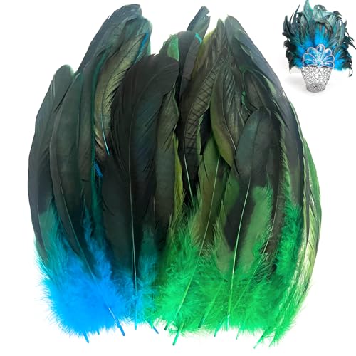 Fizdoqg 100 Stück Federn Blau Grün 20-25cm Federn zum Basteln, Natur Fasanenfedern Hahnenfedern, Grüne Federn, Blaue Federn für DIY Basteln, Traumfänger, Kostüme, Hüte, Zuhause Dekor von Fizdoqg