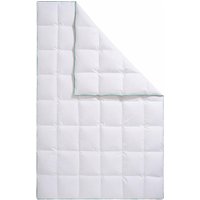 fjödur Daunenbettdecke "Fee" normal Füllung 80Daunen20Federn 1 Stk. tlg. von Fjödur