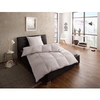 fjödur Gänsedaunenbettdecke "Franzisk, Bettdecken für Sommer oder Winter, Decke" warm Füllung 100Gaensedaunen 1 Stk. tlg. Bettdecke 135x200, allergiker geeignet (für Hausstauballergiker) von Fjödur