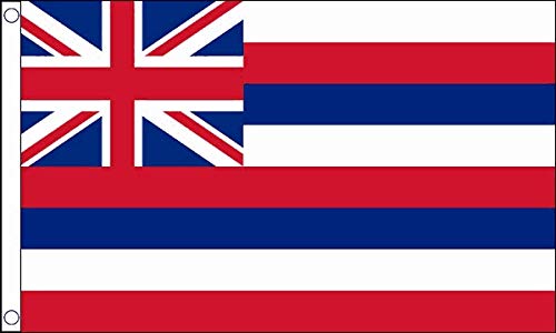 Hawaii-Flagge, 100 % Polyester, mit Ösen, 90 x 60 cm FlagSuperstore von FlagSuperstore