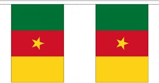 Kamerun Fahne Wimpelkette 3 Meter 10 Flaggen FlagSuperstore von FlagSuperstore