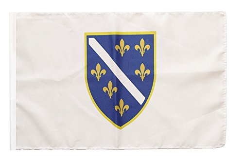 Flaggenfritze Flagge/Fahne Bosnien alt 1992-1998 + gratis Sticker von Flaggenfritze