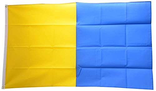 Flaggenfritze® Flagge/Fahne Gelb-Blau - 90 x 150 cm von Flaggenfritze