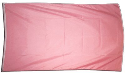 Flaggenfritze Fahne/Flagge Einfarbig Pink - 150 x 250 cm + gratis Sticker, XXL-Fahne von Flaggenfritze