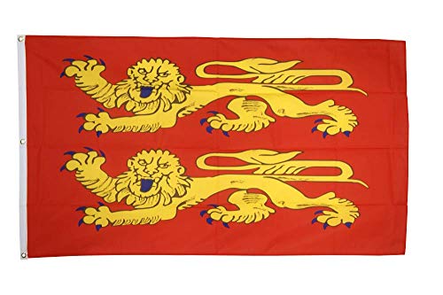 Flaggenfritze Fahne/Flagge Frankreich Basse Normandie, p'tits Cats - 150 x 250 cm + gratis Sticker, Premiumqualitäts-Fahne von Flaggenfritze