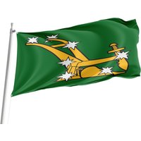 Flag Of Starry Plough Green, Einzigartiges Design Druck, Flaggen Für Innen Und Außen, British County, Größe - 90x150cm, Made in Eu von Flagstores