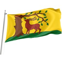 Flagge Von Berkshire, Einzigartiger Designdruck, Flaggen Für Innen- Und Außenbereich, British County, Größe - 90x150cm, Made in Eu von Flagstores