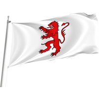 Flagge Von Gers Mit Messingösen, Frankreich, Einzigartiger Designdruck, Doppelseitige Große Flagge, Größe 90x150 cm, Hergestellt in Der Eu von Flagstores