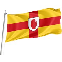 Flagge Von Ulster, Flaggen Für Den Innen- Und Außenbereich, Größe - 90x150cm, Made in Eu von Flagstores