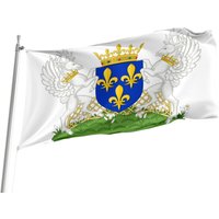 Flaggen-Wappen Des Königs Charles Vii Von Frankreich 1422-146, Einzigartiger Designdruck, Doppelseitige Große Flagge, Größe 90x150cm, Made in Eu von Flagstores