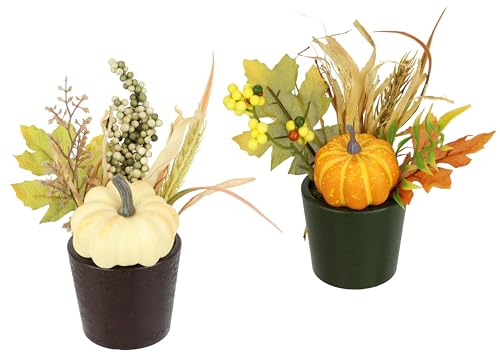 Arrangement mit künstlichem Kürbis Beeren Herbstlaub im Topf 2er Set, 18 cm Kunstblumen Dekoblume Herbst Dekoration Herbstblume Gesteck Tischdeko Herbstgesteck Tisch-Deko Dekoration Kunstpflanze Arrangement mit künstlichem Kürbis Beeren Herbstlaub im Topf 2er Set, 18 cm Kunstblumen Dekoblume Herbst Dekoration Herbstblume Gesteck Tischdeko Herbstgesteck Tisch-Deko Dekoration Kunstpflanze von Flair Flower