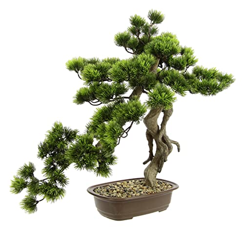 Bonsai Baum in Schale Kunstbonsai Kunstbaum Dekobaum künstlich Japanische Kunstpflanze Grünpflanze Dekobaum wie echt groß Deko Pflanze Pflanzendekoration Bonsaischale exotische Bäume Zen Garten, Groß Bonsai Baum in Schale Kunstbonsai Kunstbaum Dekobaum künstlich Japanische Kunstpflanze Grünpflanze Dekobaum wie echt groß Deko Pflanze Pflanzendekoration Bonsaischale exotische Bäume Zen Garten, Groß von Flair Flower