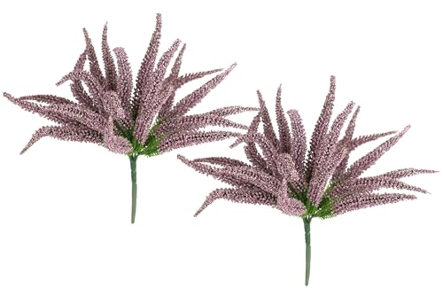Erikabusch 25cm 2er Set Erika Heidenkraut Kunsterika Strauch Dekopflanze Dekoblume Kunstpflanze wie echt Bouquet Tischdeko Pflanze Herbstdeko Herbstpflanze Strauß Floristik Erikabusch 25cm 2er Set Erika Heidenkraut Kunsterika Strauch Dekopflanze Dekoblume Kunstpflanze wie echt Bouquet Tischdeko Pflanze Herbstdeko Herbstpflanze Strauß Floristik von Flair Flower
