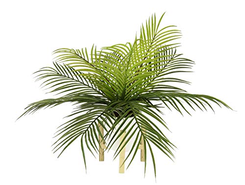 Flair Flower Farn Palme Areca im Topf mit Holzgestell Zimmerpflanze groß künstlich Pflanze Grünpflanze Topfpflanze Goldfruchtpalme Kunstpflanzen Palmenbaum Kunstpalme Busch Sträucher, grün, 40x53x53cm von Flair Flower